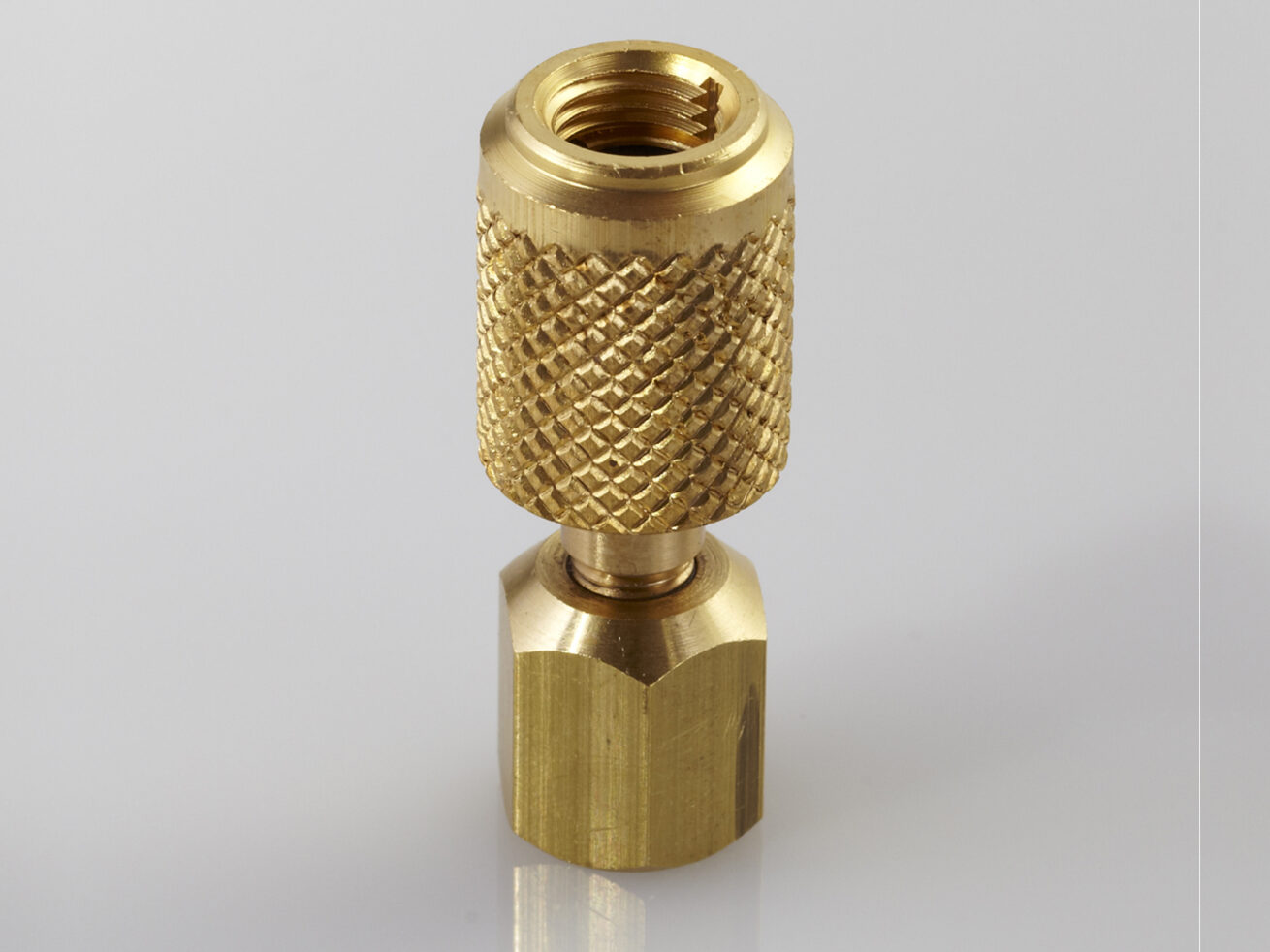 ABG18 CPS 1/4" SAE Female Anti Blow Back Hose End x 1/8" FPT Adapter