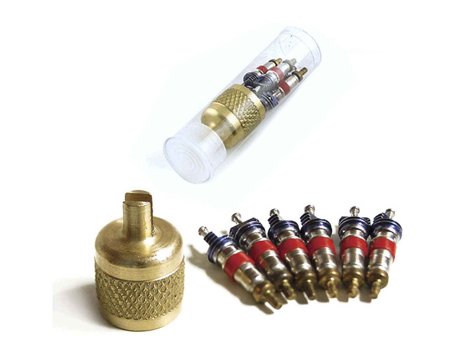 AVS1V Valve Core and SAE Brass Cap Kit in Plastic Vial AVS1V Valve Core and SAE Brass Cap Kit in Plastic Vial
